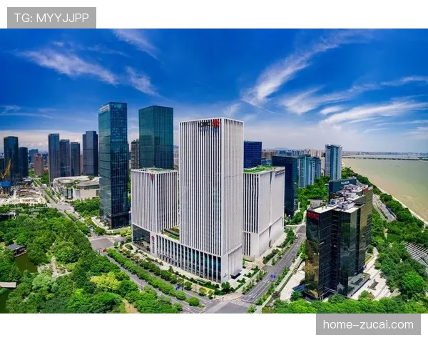 浙江核心停赛成契机，托利奇前移激活新进攻体系